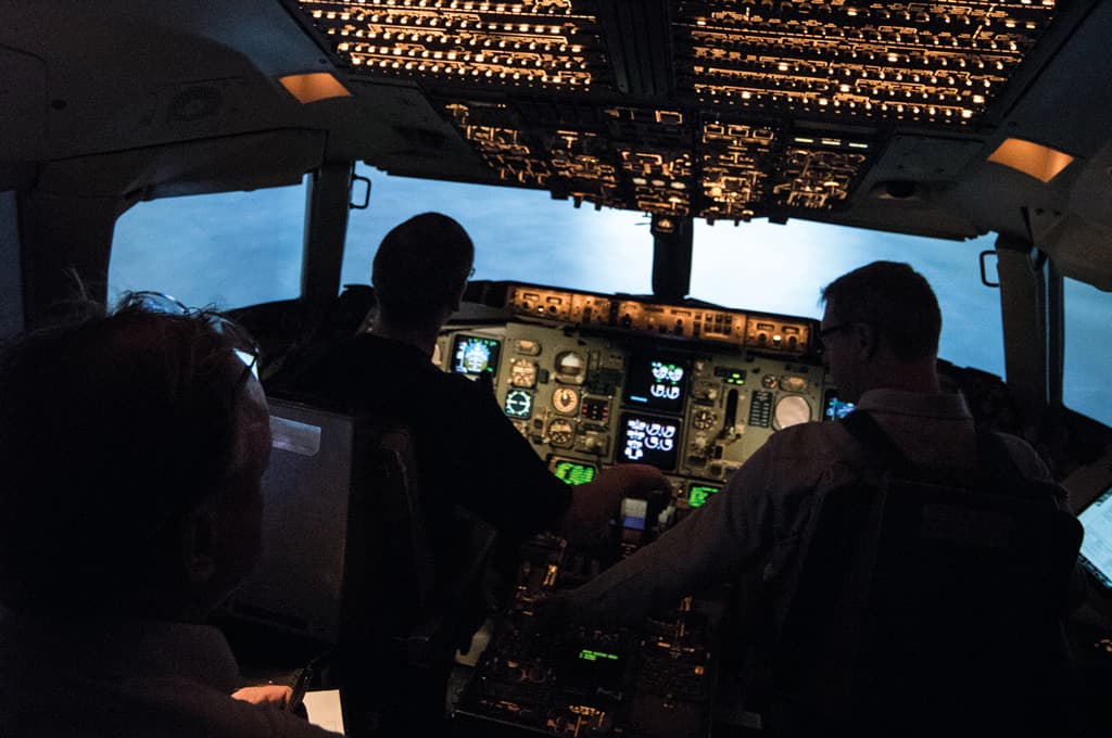 What more can we learn from the “fly guys”?